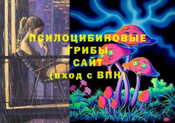 крисы Алзамай